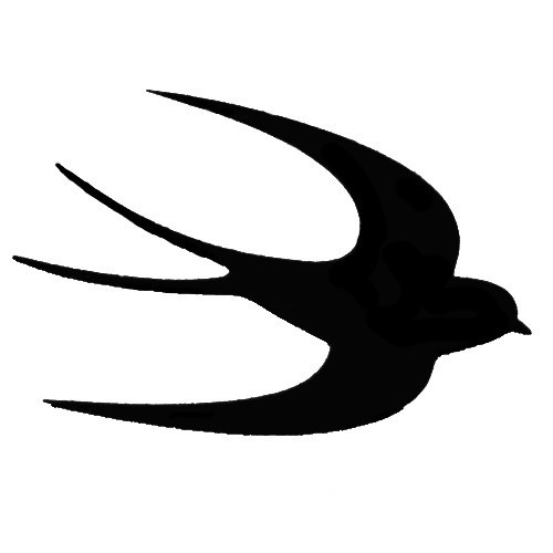 Swallow